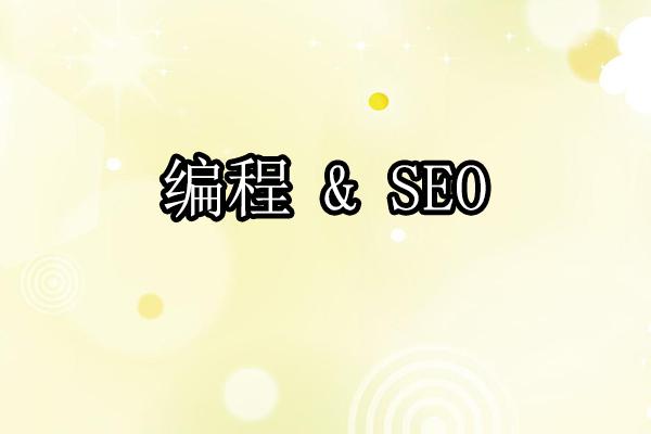 �����������SEO��-СС����SEO��ѵ�̳�