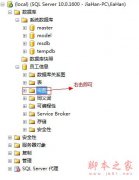 SQL server ��ͼ��view������