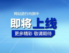 ��վ����Ҫ����11����