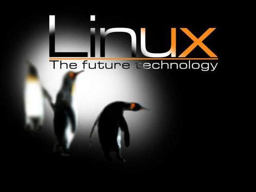Ĵlinuxϵͳά