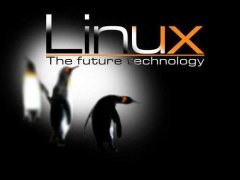 Ĵнlinuxϵͳά