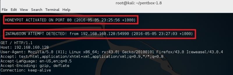 Kali Linux ۹޵ķ