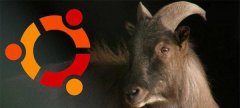 ubuntu14.04