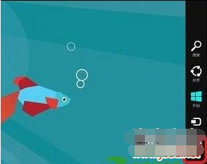 Win8��ο�����رշŴ�