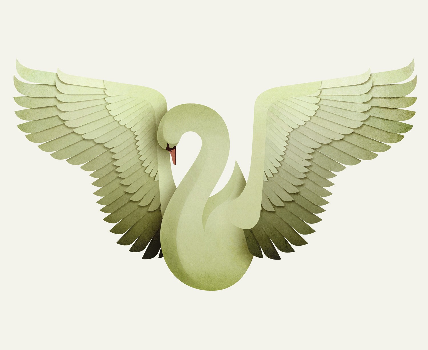 swan