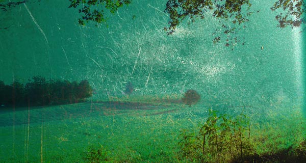 0fb0e238bed088415f0153fdc2631d9c