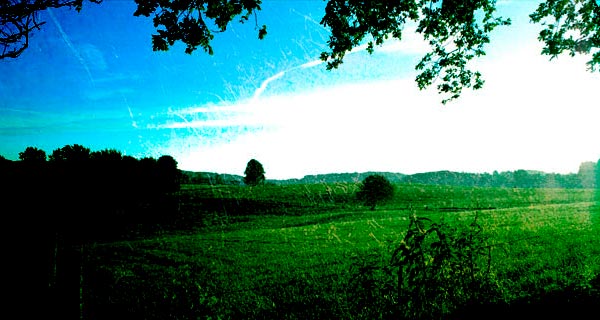 910c4212d00d374925584e0b35575d0d