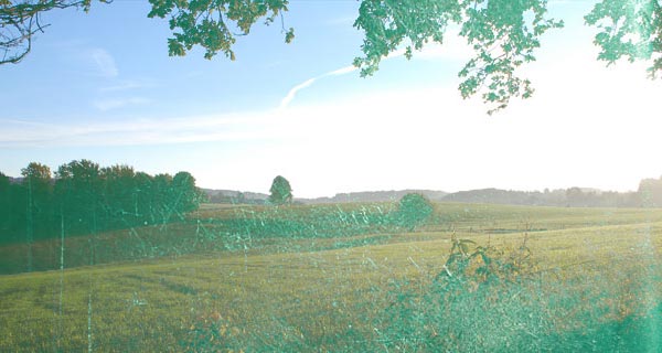 54b34cdc418f5026f5b1987653edd772