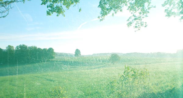 0aee9f9e19dfc9918db9e1dafaebdd95