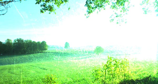 f4eac56e17a6d0f295355a509078e2f7