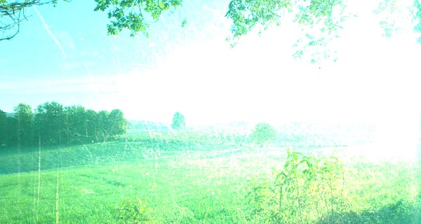 bb7f7c449784ec8501f11857c66c2e1a