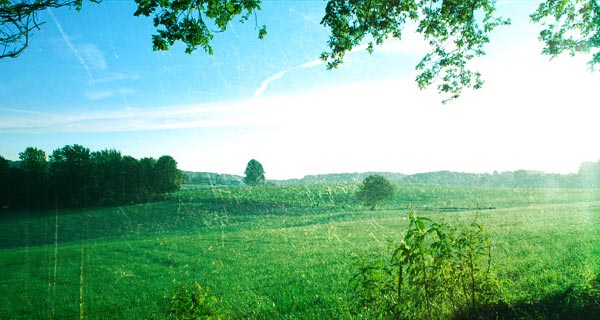 e20d1bece60595be21c4462c3403b6eb