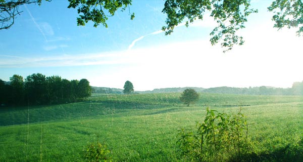 cd785c424406579c95e4eaa4695417dd