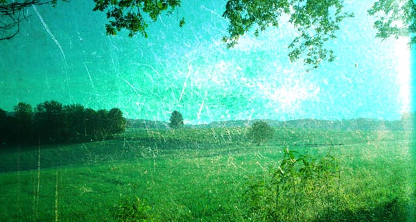 7b0747429de7b1a3d11bf4dd002b1df5