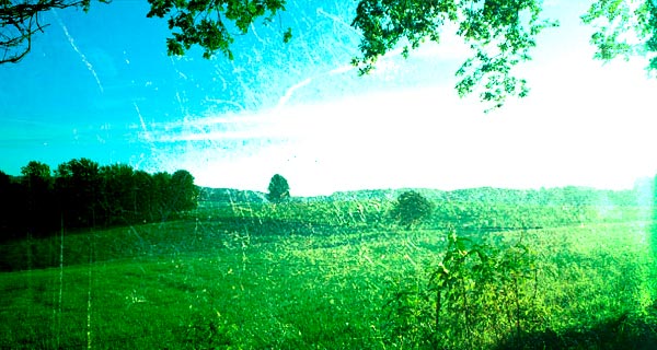 7f16500941a07dc3cd92a4eb64a42624