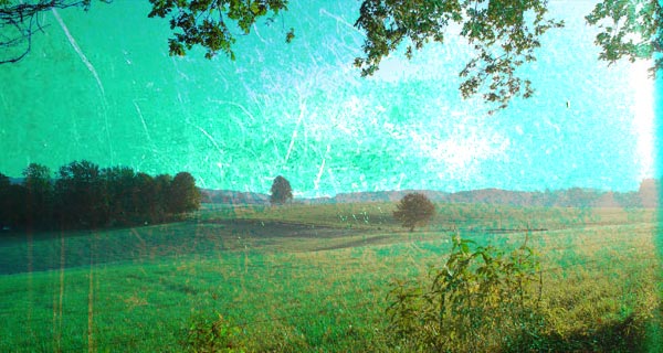 38321242e583ecada38f8ded43ec6916