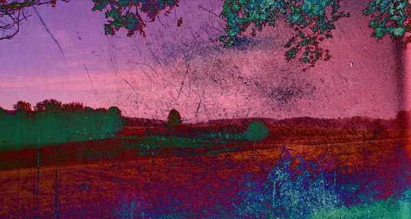 87dbd94c2a859bcbe6ae9a1c5adc00c2