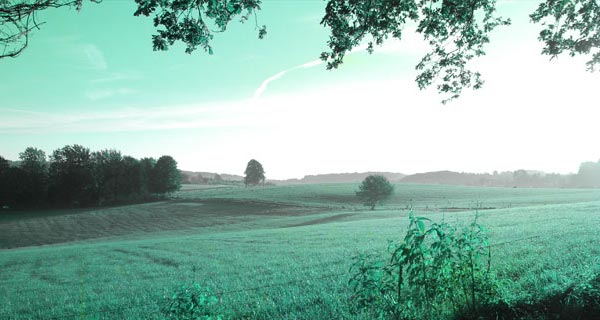 49db495b6a8020ccda1a8aff76a474a5