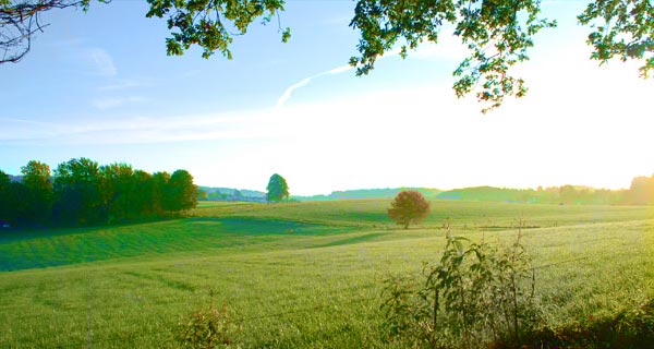 921b156e6654245a49dd9500d19adace