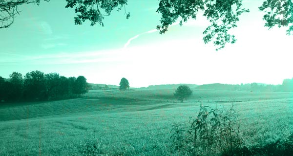 829ec8160376d280743dcb6f03afe001