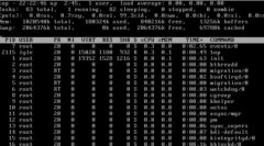 ������ECS ��ֲ���ڿ�ľ���Ĵ���������̷���