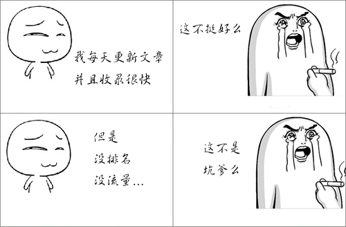 网站没排名,没流量