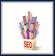 ��ô��SEO������ŵ��