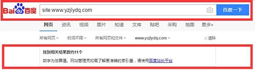 揭秘SEO快排原理
