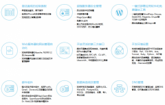 Plesk����ñ�ʢ������Ϊ���������쵼��