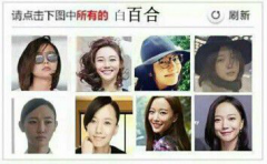 12306��֤�������ֻ��һ��Ӫ�������Գɹ���