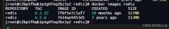 docker��װredis�������������