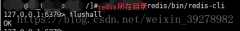 Redis��Ϣ����ʵ����ɱ�̳�