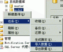 SQL server 2005��Զ�����ݿ⵼�뵽���صķ���