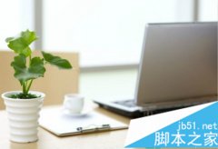 ʲôֲ����ڵ���ǰ�ȽϺ�