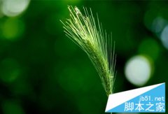 ���͵��Է�����Ŀ��Ե�ʳ��