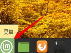 Linux Mintϵͳ��ô����������Ч?