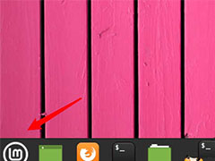Linux Mintϵͳ���뷨��ôɾ��? Linux Mintɾ���������뷨�ļ���