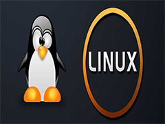 ��Linux�����ж������? ����ǿ��ж�������ļ���