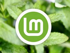 Linux Mint Xia 22.1�ذ�����: ��Ҫ����һ��