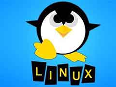 Linux Kernel 6.13����:���������ݼ������Խ��